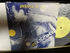TWIGY 煙突の拳 12インチ アナログレコード 直筆サイン入り TWIGY 煙突の拳 12インチ アナログレコード 直筆サイン入り - メルカリ