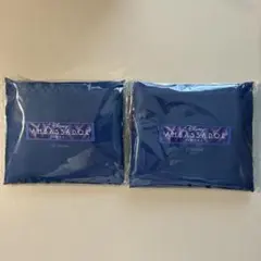 ディズニーアンバサダーホテル エコバッグ 2枚セットのサムネイル