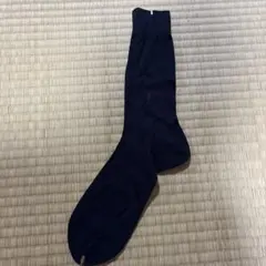 Item thumbnail for item d8a0b568-7836-4c21-870b-c56b12611476