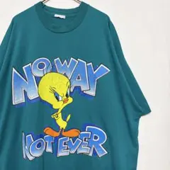 90s USA トゥイーティー Tweety ルーニーテューンズ Tシャツ 古着