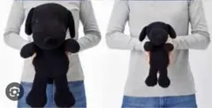 【※大小2体セット】UNIQLO × KAWS SNOOPY ぬいぐるみ BLK