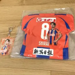 アルビレックス　新潟　8 白井永地　マッチデークッション　蓄光キーホルダー