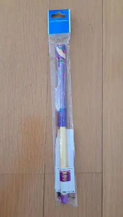 東京ディズニーリゾート　ミッキー　ミニー　フラッグ　バースデー　誕生日のサムネイル
