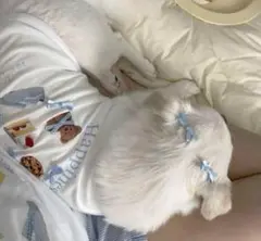 ぴなつ様