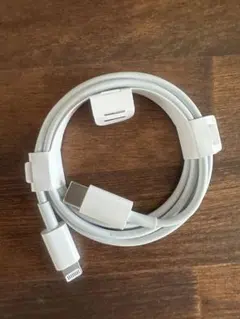 Apple純正ケーブル Type C- Lightning