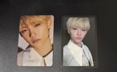 フィリックス　yellow wood 封入トレカ