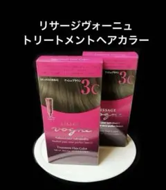 【新品２箱セット】アッシュブラウン３C　ヴォーニュトリートメントヘアカラーのサムネイル