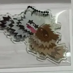 にたものどうし ジグザグマ ポケモン Pokemon