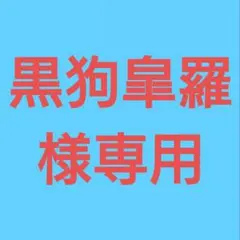 (黒狗皐羅様専用！) おまとめ購入5点！