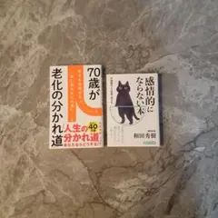 Item thumbnail for item 387b7749-952d-4181-b0c9-5ce526ed9c95