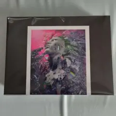 hide RE:PSYCLE クリアファイル付