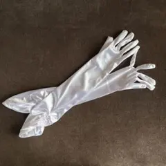 ロンググローブ ドレス