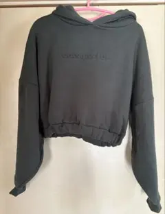 Item thumbnail for item 4bc17b91-6738-494e-a597-cb9e82ecadff