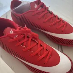 Item thumbnail for item 6d45d09f-b625-4b7e-918c-2e0646957c99