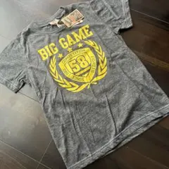 Item thumbnail for item 151d1ad9-0473-4724-9f1c-ff7b509a27aa