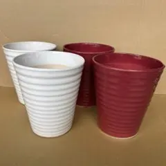 エムスタイル Mstyle シエナ イタリア製 ミヤザキ食器 カップ