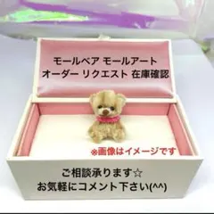 モールベア モールドール リクエスト 在庫確認 オーダー ご相談 #copepe