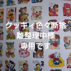 クッキィ色々断捨離整理中様専用です
