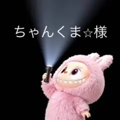 ちゃんくま⭐︎プロフ必読してね。様 リクエスト 2点 まとめ商品