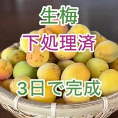 6/17まで予約】紀州南高梅 追熟梅 優品・良品 2L 3kg 送料込み - メルカリ