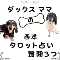タロット占い 質問3つ 霊視 恋愛 片思い 運命の人 あなたの悩みをズバリ解決
