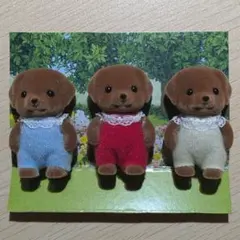 チョコレートラブラドールの赤ちゃん