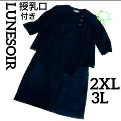 前ファスナー 極美品 ルネソワール 2XL 3L フォーマル ワンピース 黒
