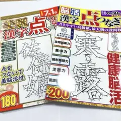【 新品 】美麗漢字 脳活漢字 点つなぎ ２冊セット