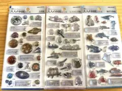 大人の図鑑シール　大人図鑑シール　3d シール　ボンボンドロップシール　ボンドロ