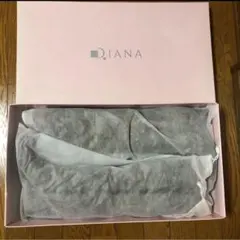 DIANA スエード ロングブーツ