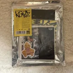 KAMIGATABOYZ 無責任でええじゃないかLOVE