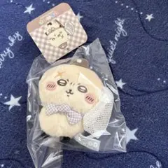 치이카와 ぽけっと ちいぽけ ピクニックなマスコット 해달