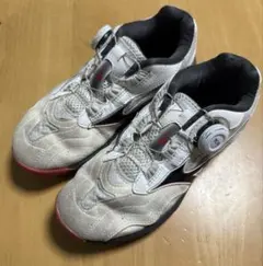 卓球　シューズ　MIZUNO 22.5