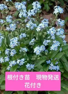 おけい様 リクエスト 3点 まとめ商品