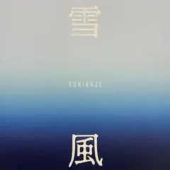 2025年最新】パンフレット YUKIの人気アイテム - メルカリ