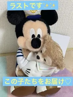 ダッフィー20周年 ミッキー ダッフィー ぬいぐるみバッジ