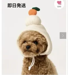 スリコ 犬用品