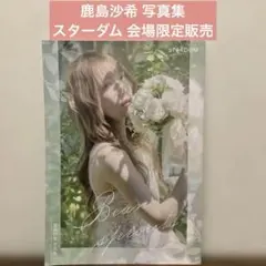スターダム タレント写真集