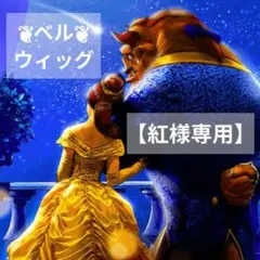 【mm】ディズニー 美女と野獣 グリーティング風 ベル ウィッグ mm様専用】ディズニー 美女と野獣 グリーティング風 ベル ウィッグ