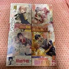 帯付set 小中千昭 佐藤順一 魔法使いTai!MagicUser'sClub! - メルカリ