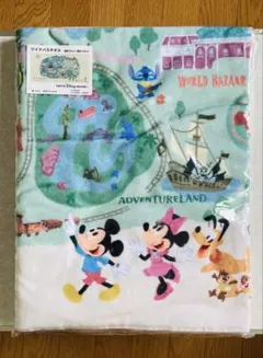 ディズニー ワイドバスタオル パーク柄 マップ柄