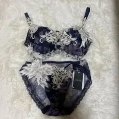 新品☆サルート F75 ショーツLセット 現品限り！】ワコール サルート P-UP（プッシュアップタイプ）3/4