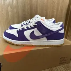 Nike SB Dunk Low pro 