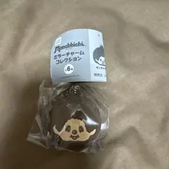 ◯モンチッチ ミラーチャームコレクション モンチッチくん◯