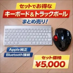 Apple A1314 キーボード サンワ 400-MA099BK セット