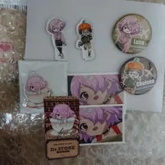 Dr.STONE チェルシー ルーナ フライトジャケット AMOCAFE