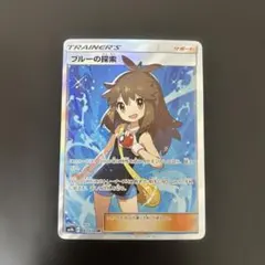 ブルーの探索　sr 汎用　ゲリラ　サポート