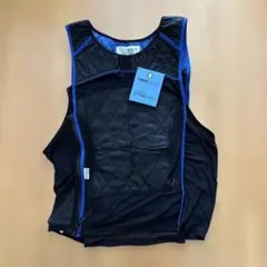 Item thumbnail for item 2d4f258b-823b-4a79-aa09-fd843ac130d1