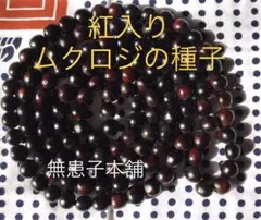 Item thumbnail for item 9b47d02f-7e98-41c5-989a-5245d2537573