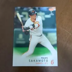 野球カード 巨人 坂本勇人